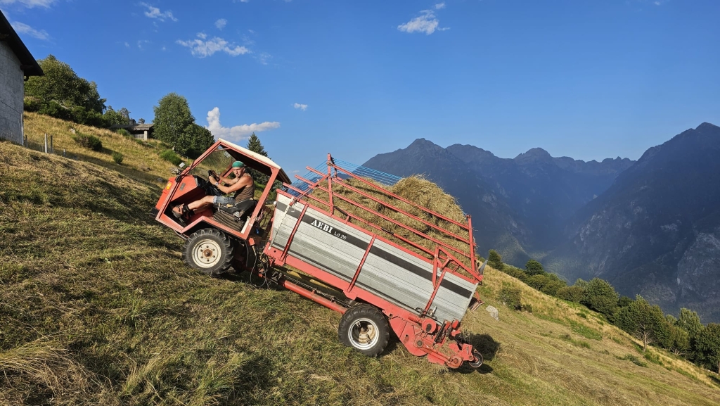 CARICO FIENO IN PENDEZA